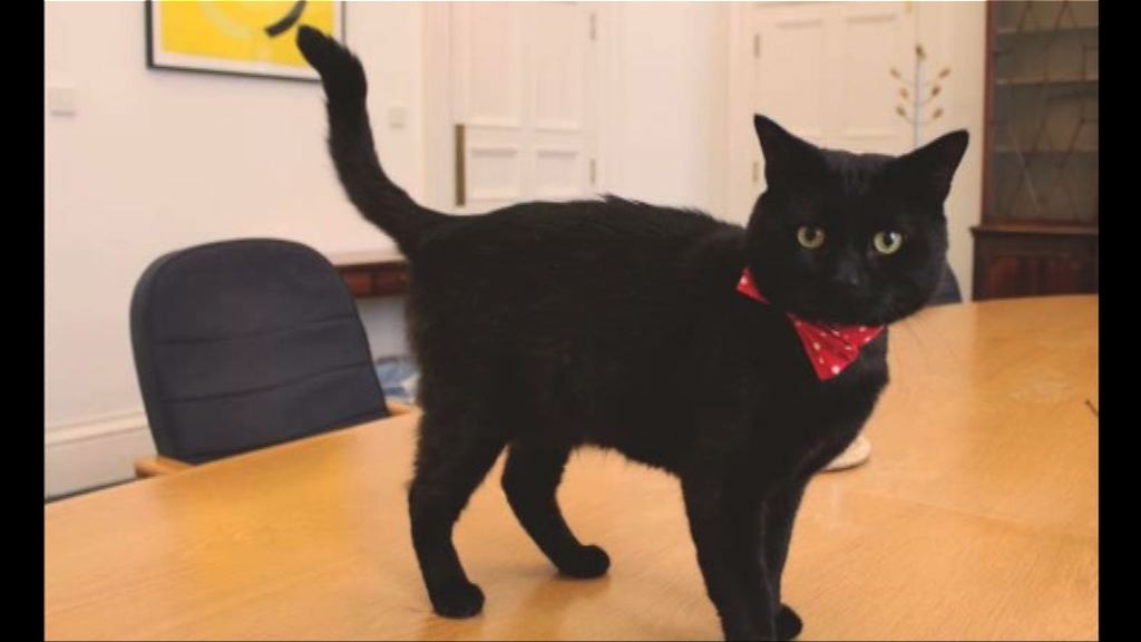 英國財政部新添一名捕鼠大臣