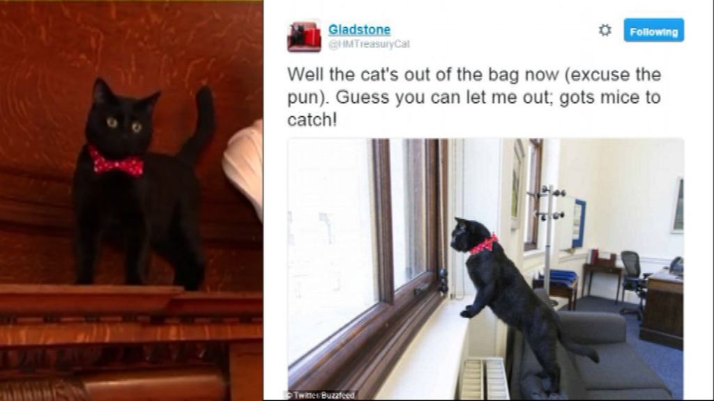 英財政部捕鼠大臣開設專屬社交帳號