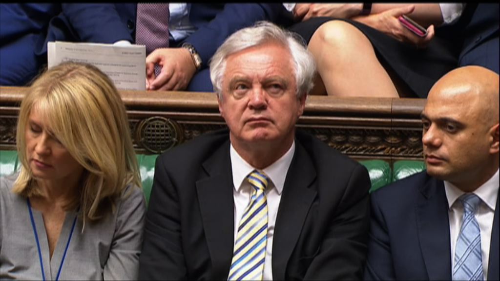 戴德偉對內閣軟脫歐立場不滿辭職