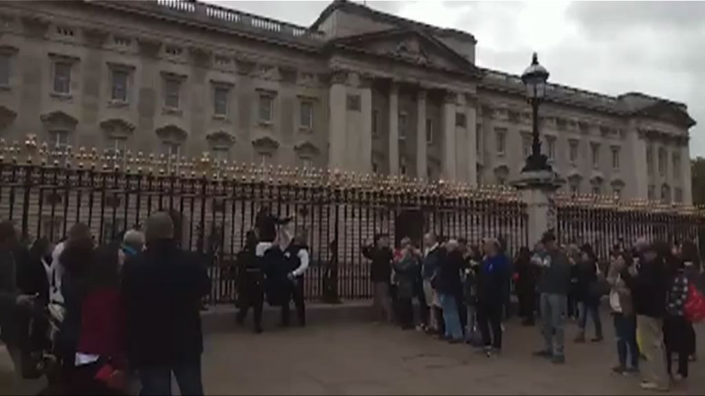 女子圖攀越白金漢宮大閘被捕