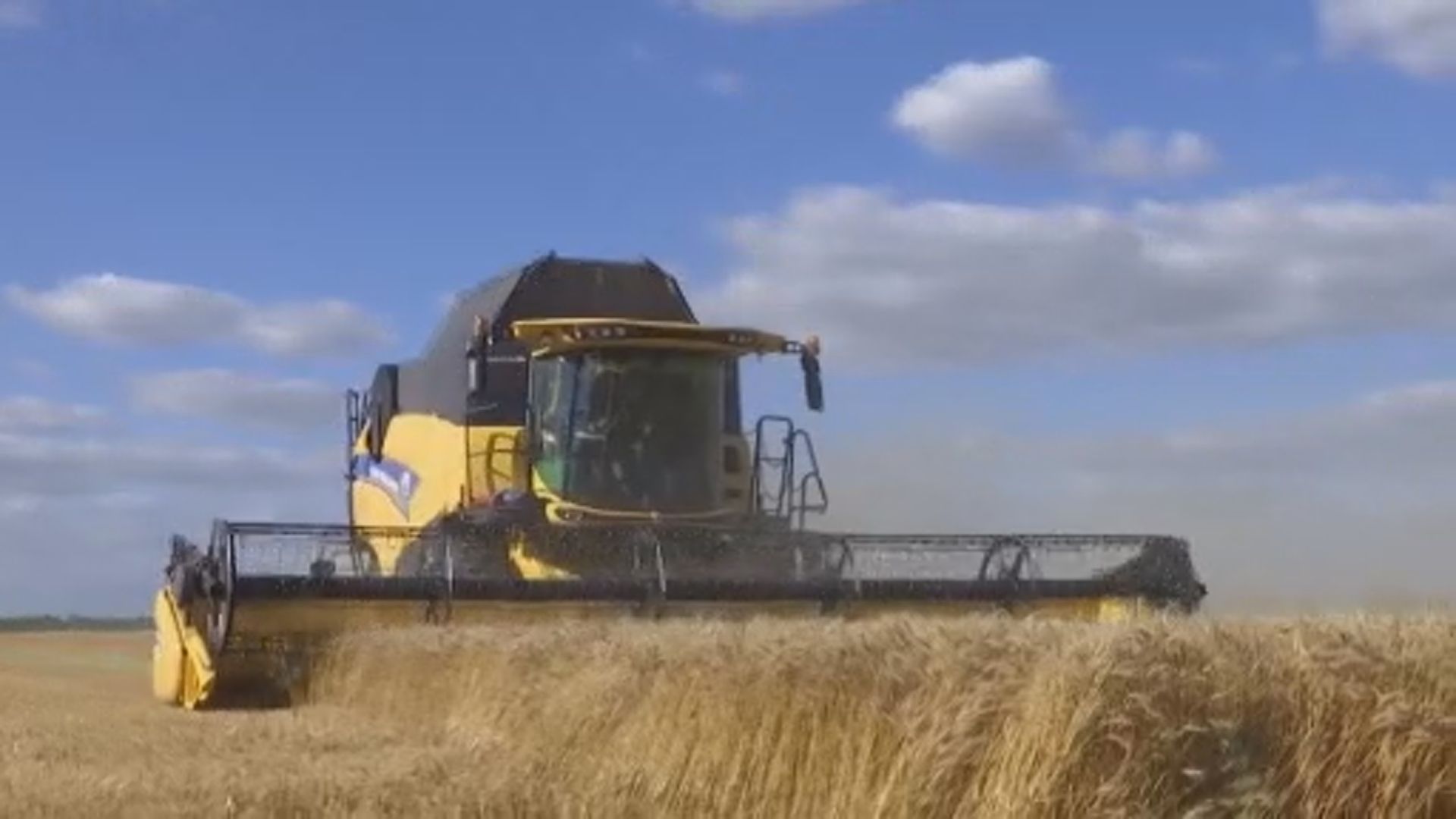 土耳其稱周五將簽署協議恢復烏克蘭糧食出口