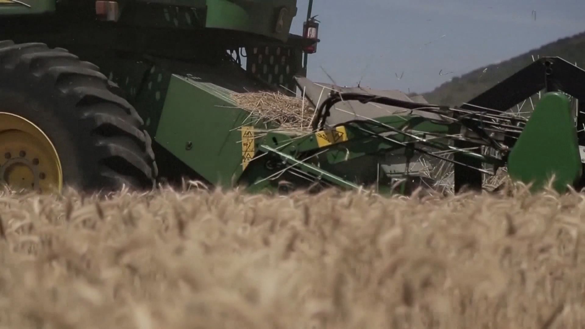 歐盟計劃動用一億歐元補貼五個受糧食價格下跌影響東歐國家