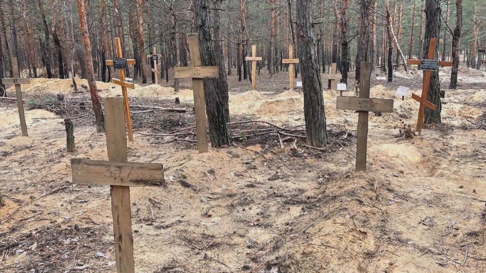 伊久姆發現埋葬逾440具遺體亂葬崗