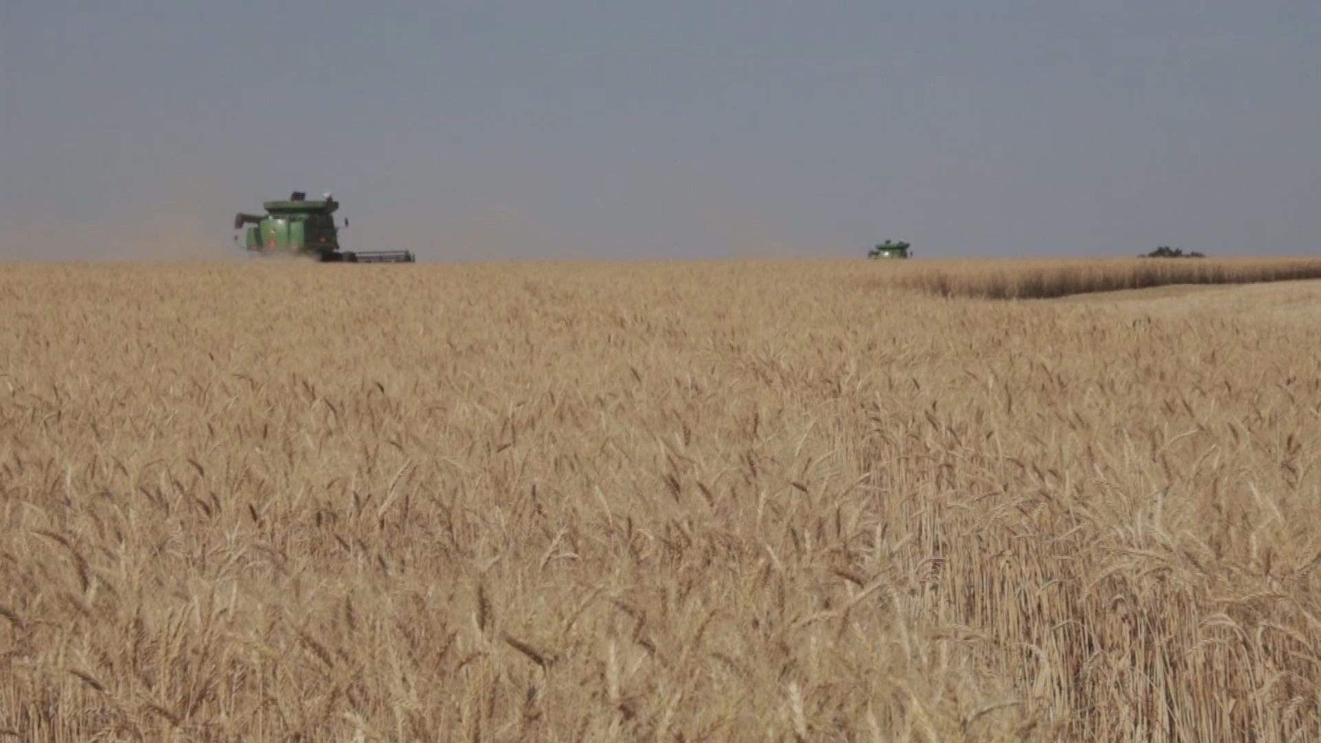 黎巴嫩買家以延遲交貨為由　拒收首批烏克蘭出口糧食