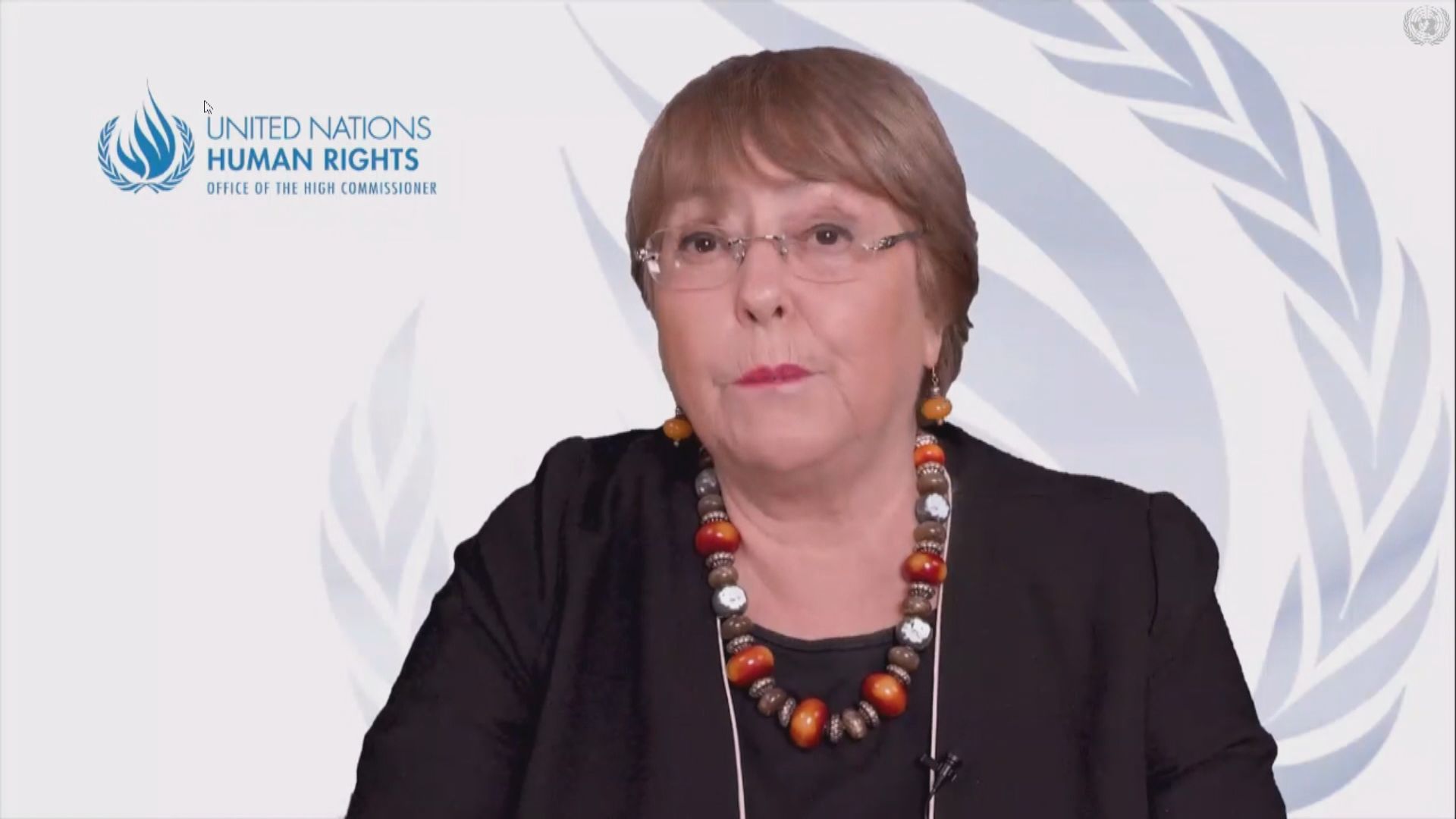 聯合國人權事務高級專員關注中國人權狀況