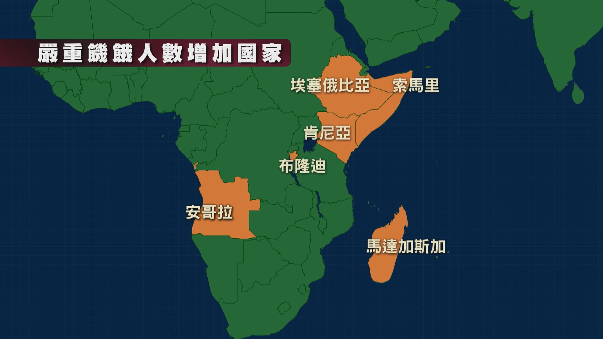 全球瀕臨饑荒人數增至4500萬