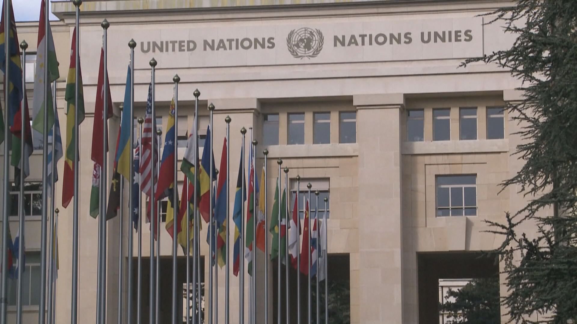 聯合國報告：亞洲詐騙集團正向全球擴張　滲透至南美洲和非洲地區