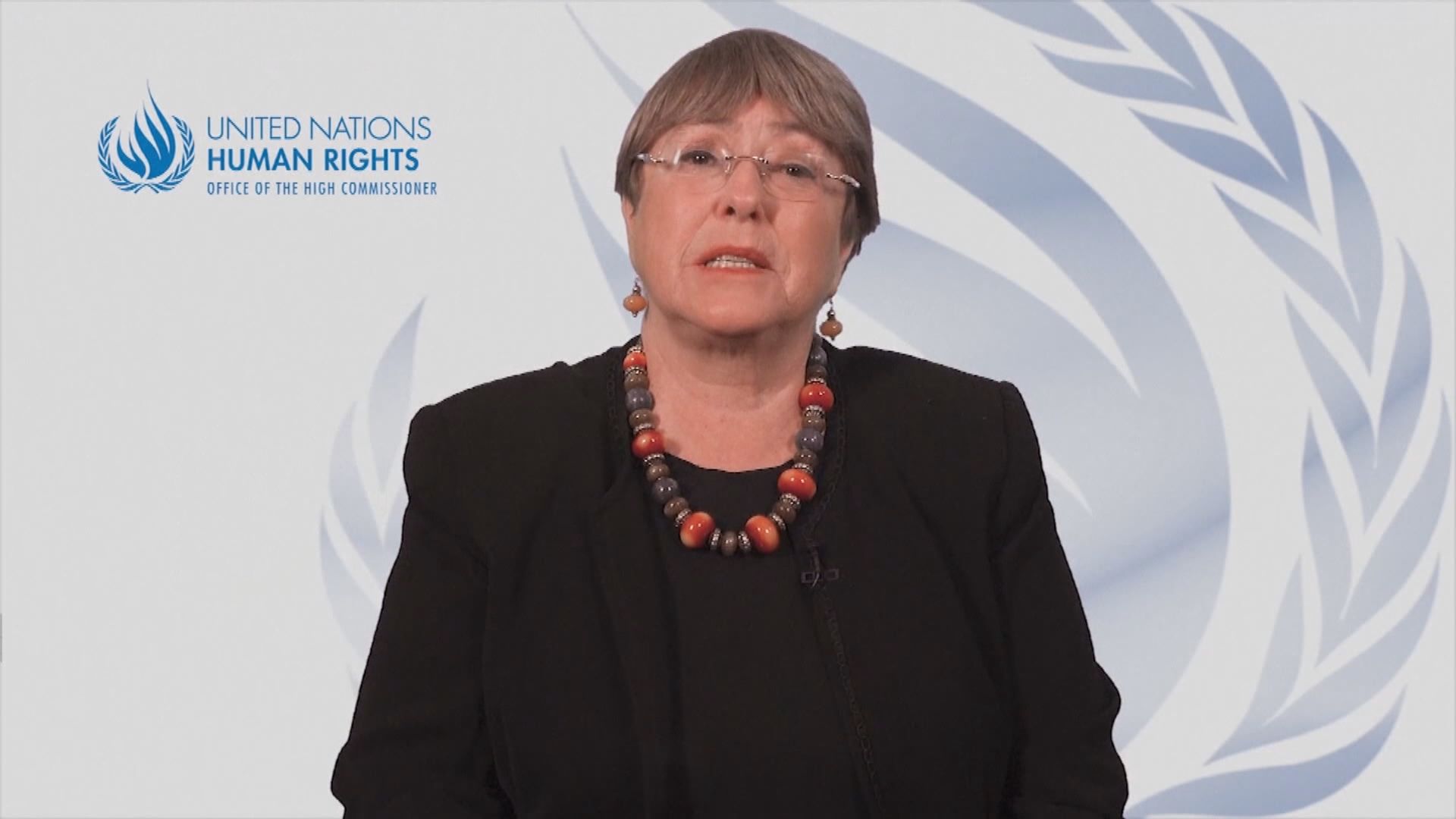 聯合國人權事務高級專員關注香港情況