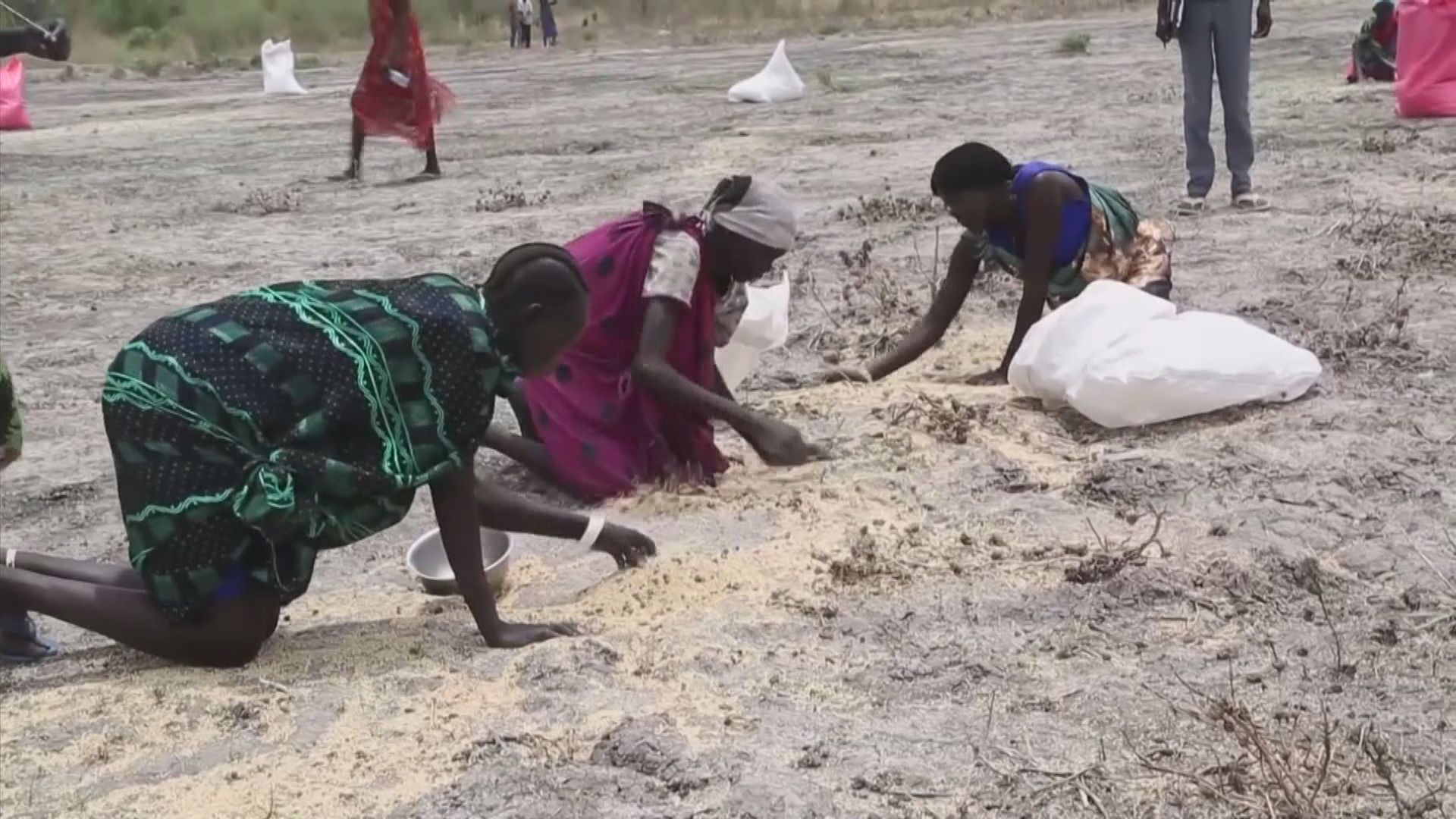 聯合國：全球飢餓人口去年增一成八