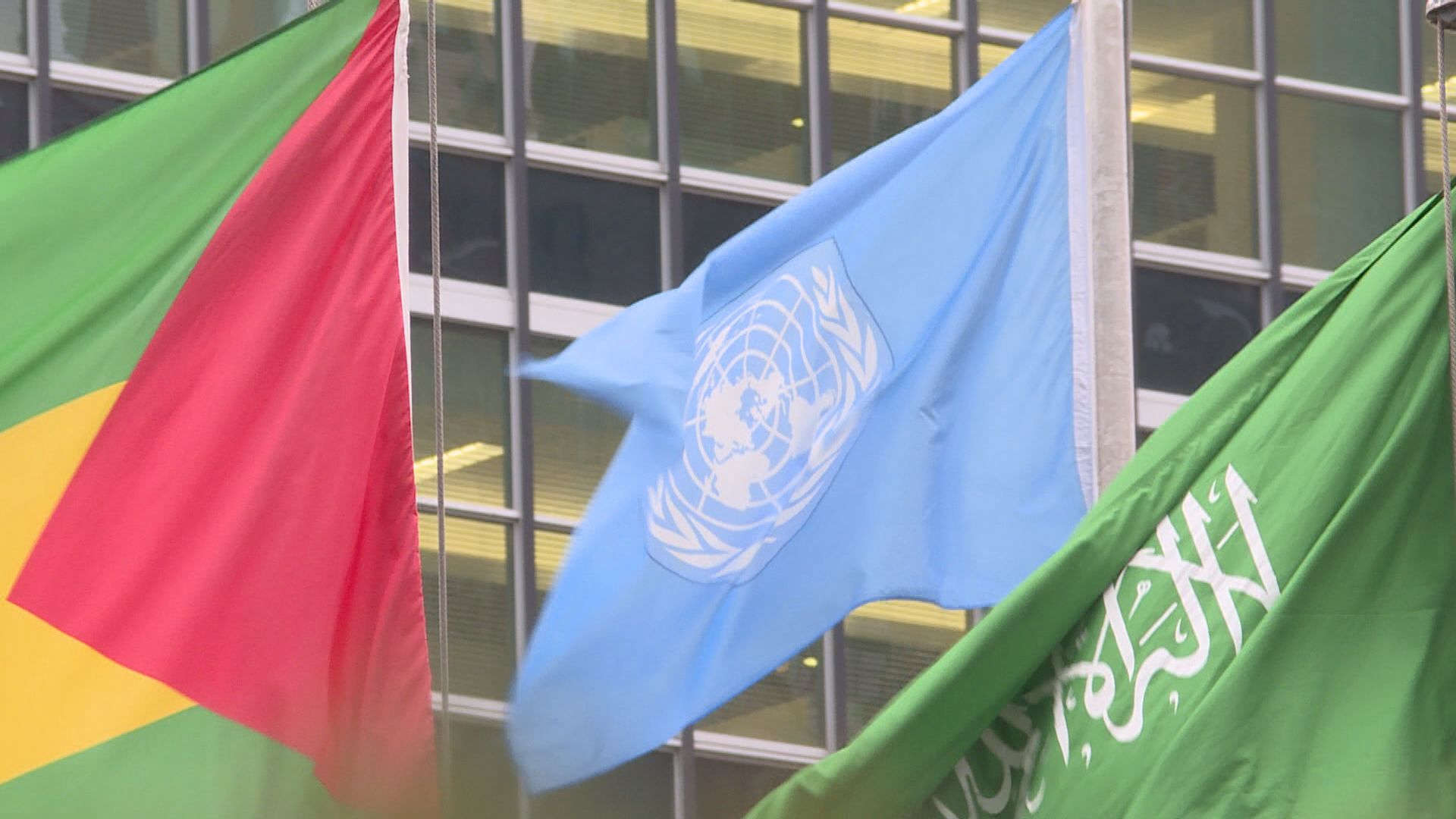 安理會報告：北韓避過制裁手段愈見精密