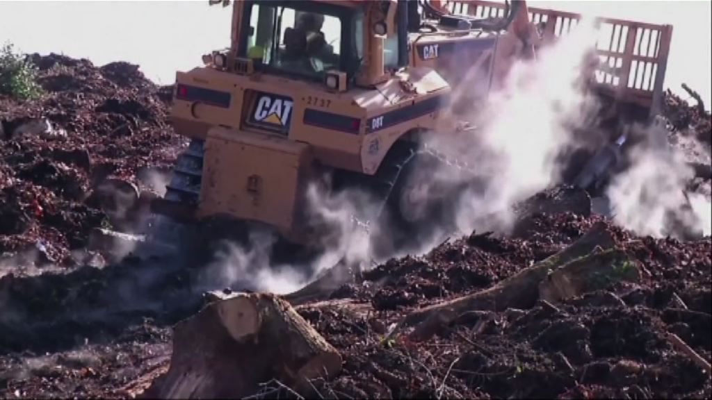 研究指甲烷全球排放量遠超估計