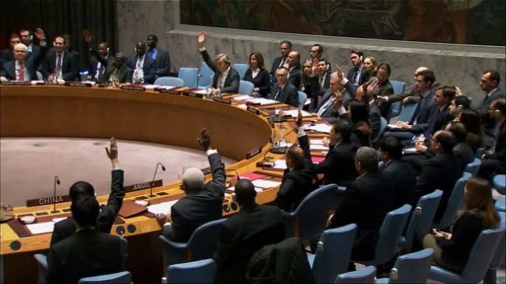 安理會通過支持敘利亞停火協議