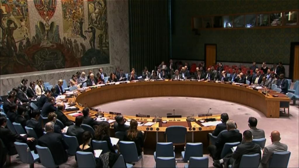 中俄否決安理會方案　敘軍涉用化武逃過制裁