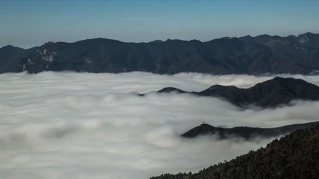 湖北神農架林區申遺成功