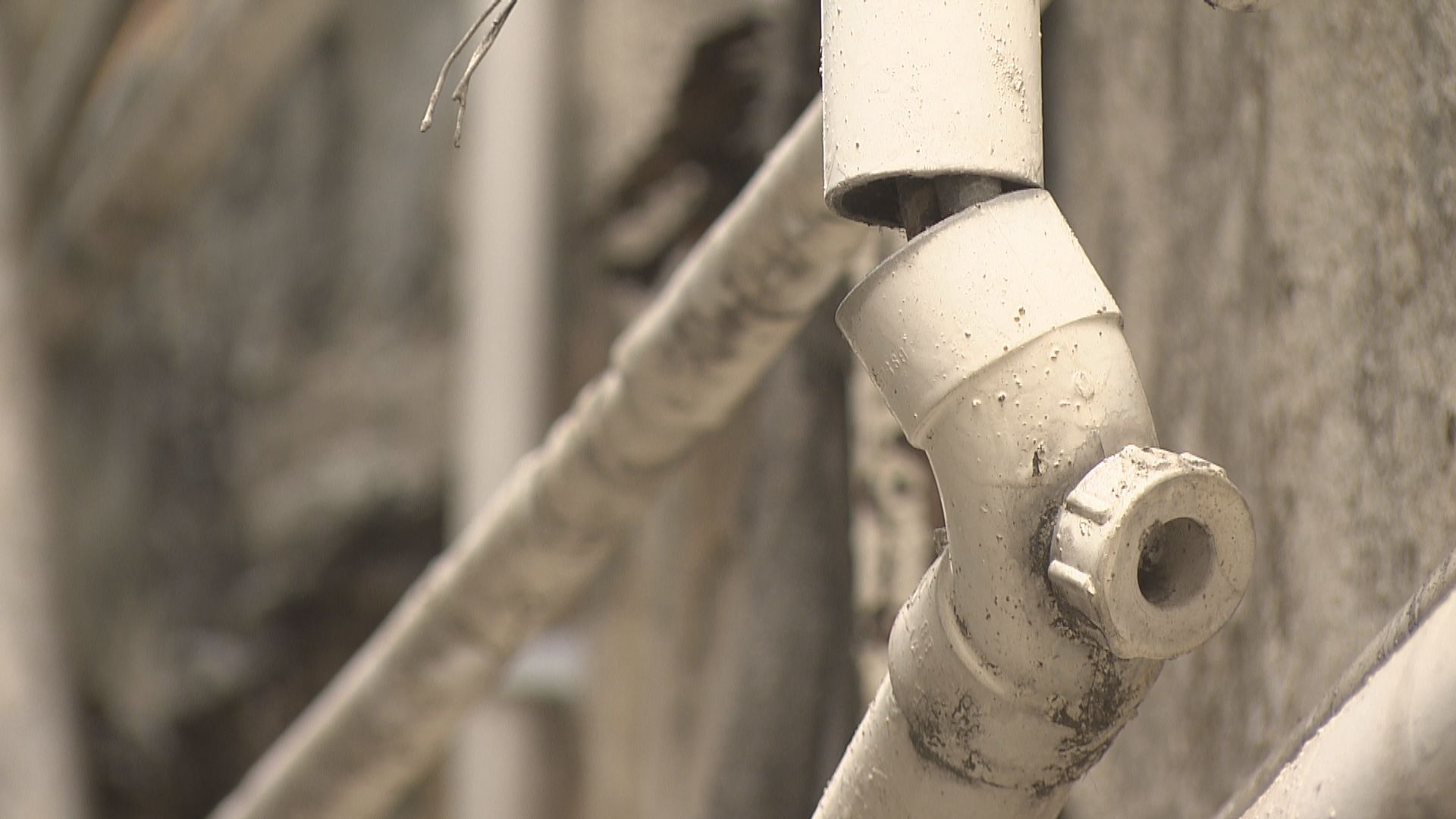 韋志成指「招標妥」獨立報價為基準價非最低價