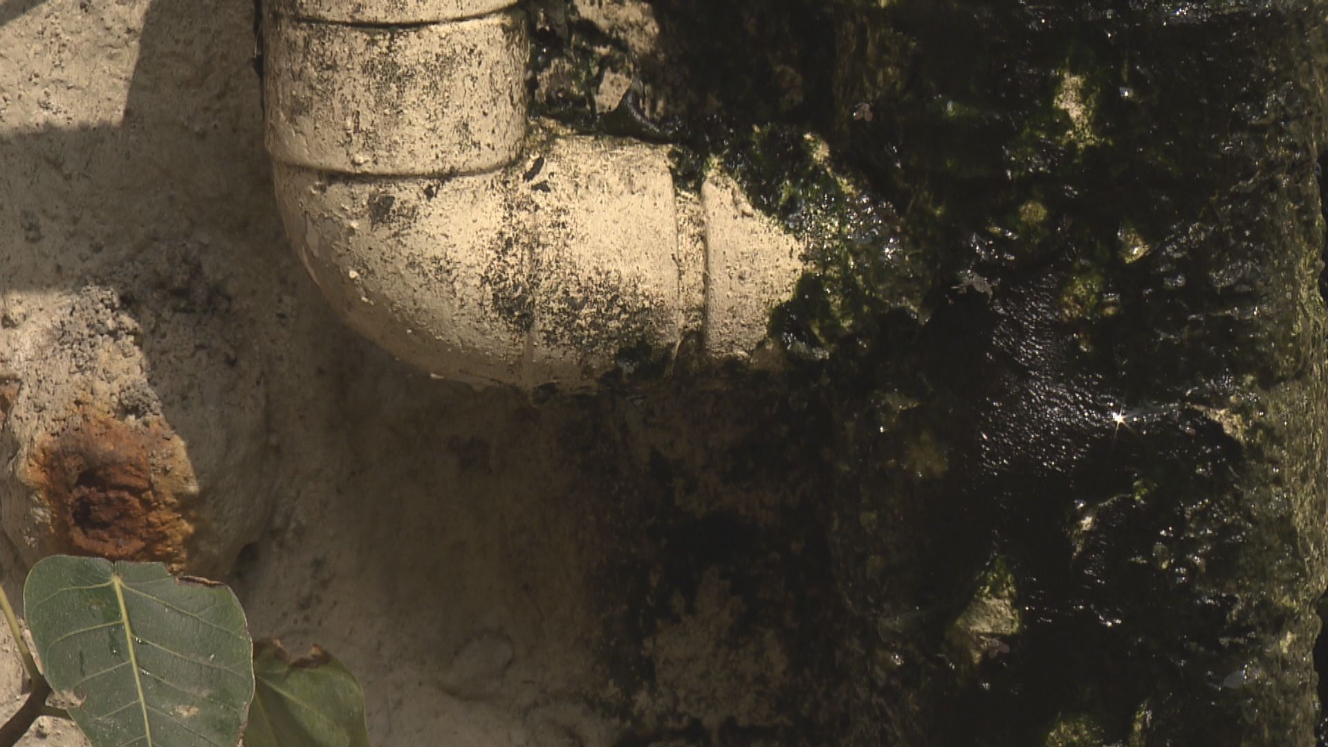 市建局舊樓渠管維修資助計劃明日起接受申請