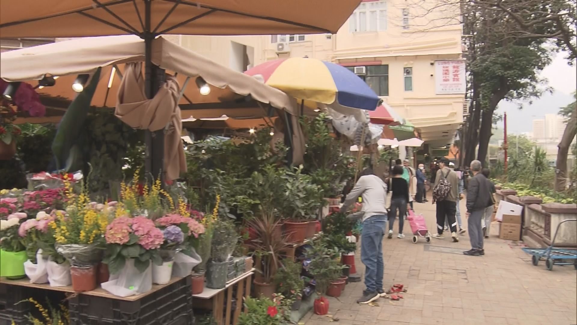 【花墟重建】花商憂重建拉高租金 冀市建局做好補償
