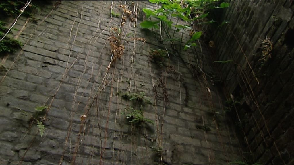 市建局擬保留20米閣麟街唐樓磚牆