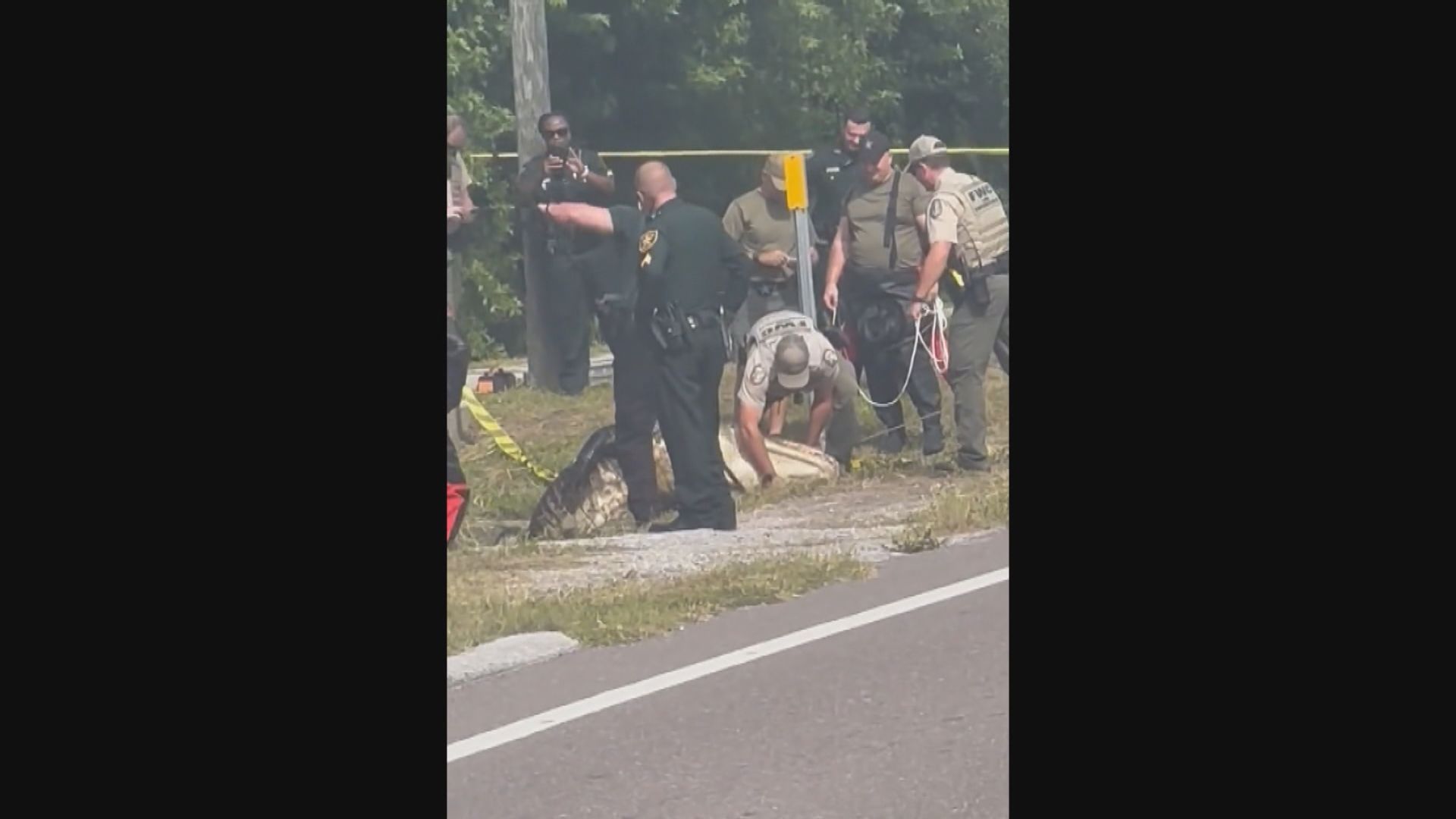 美國佛州有鱷魚咬死一名女子