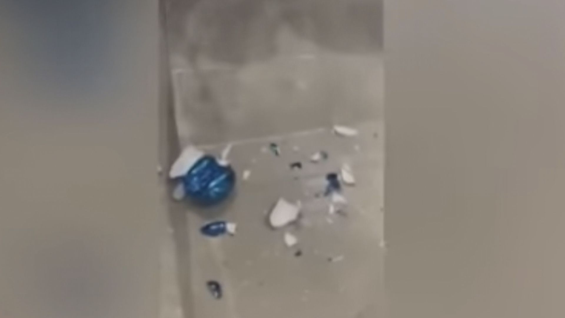 邁阿密藝術展價值四萬二千美元展品《氣球狗》被摔破