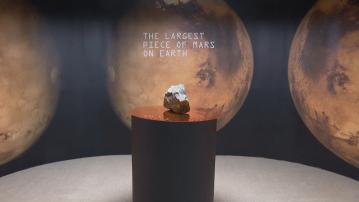 蘇富比將拍賣地球最大火星隕石及幼年角鼻龍化石