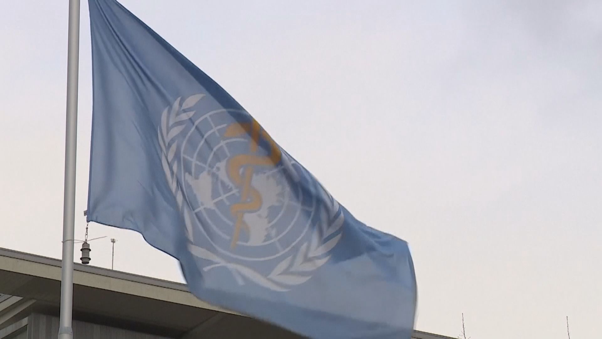 世衛及歐洲藥管局重申沒證據顯示撲熱息痛與自閉症有關