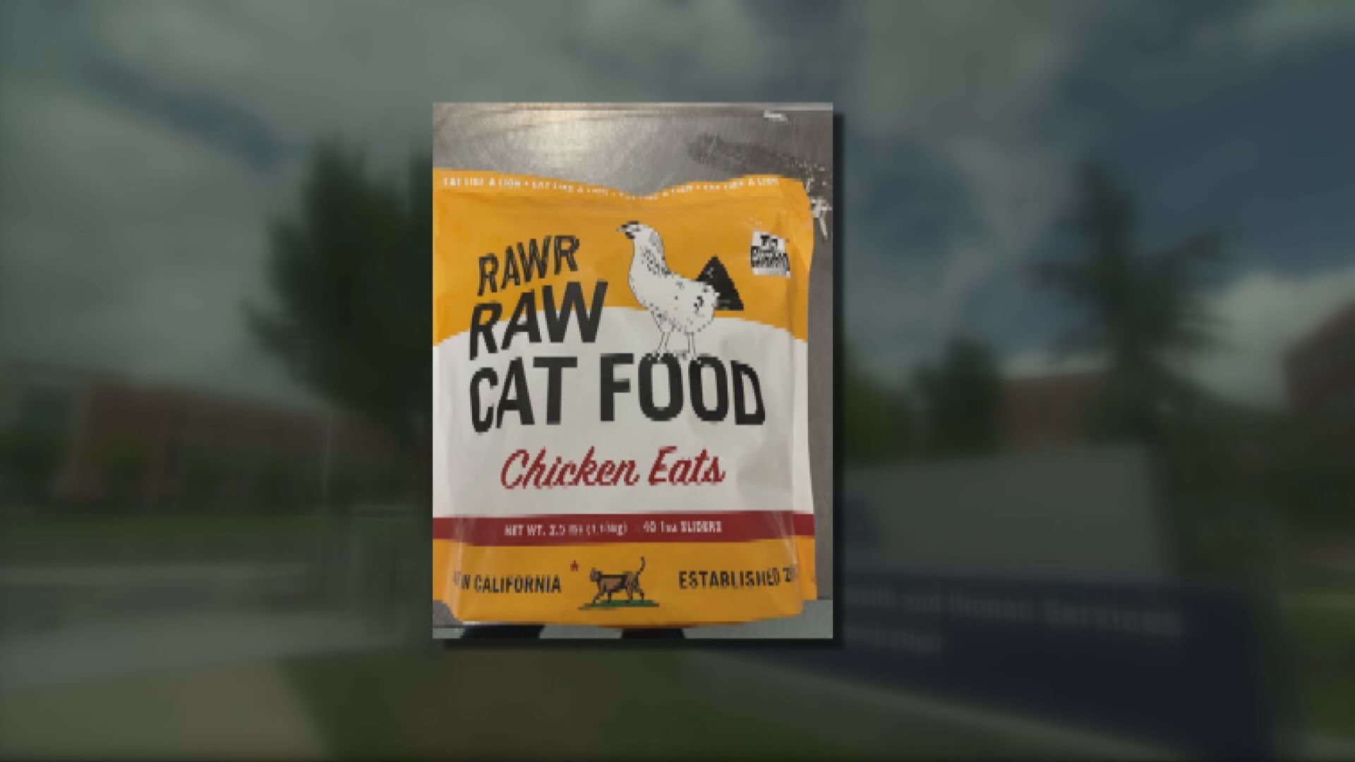 三藩市有寵物貓因進食貓糧染H5N1要人道毀滅　當局籲飼主處理食品後要洗手