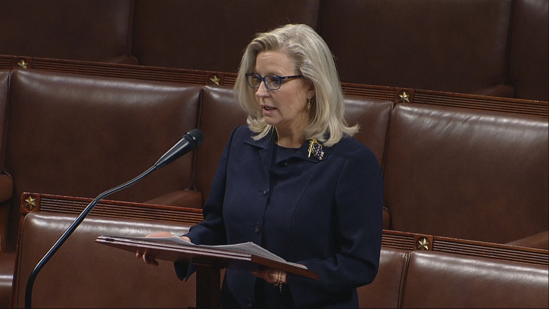 利茲切尼遭罷免眾議院共和黨會議主席職務