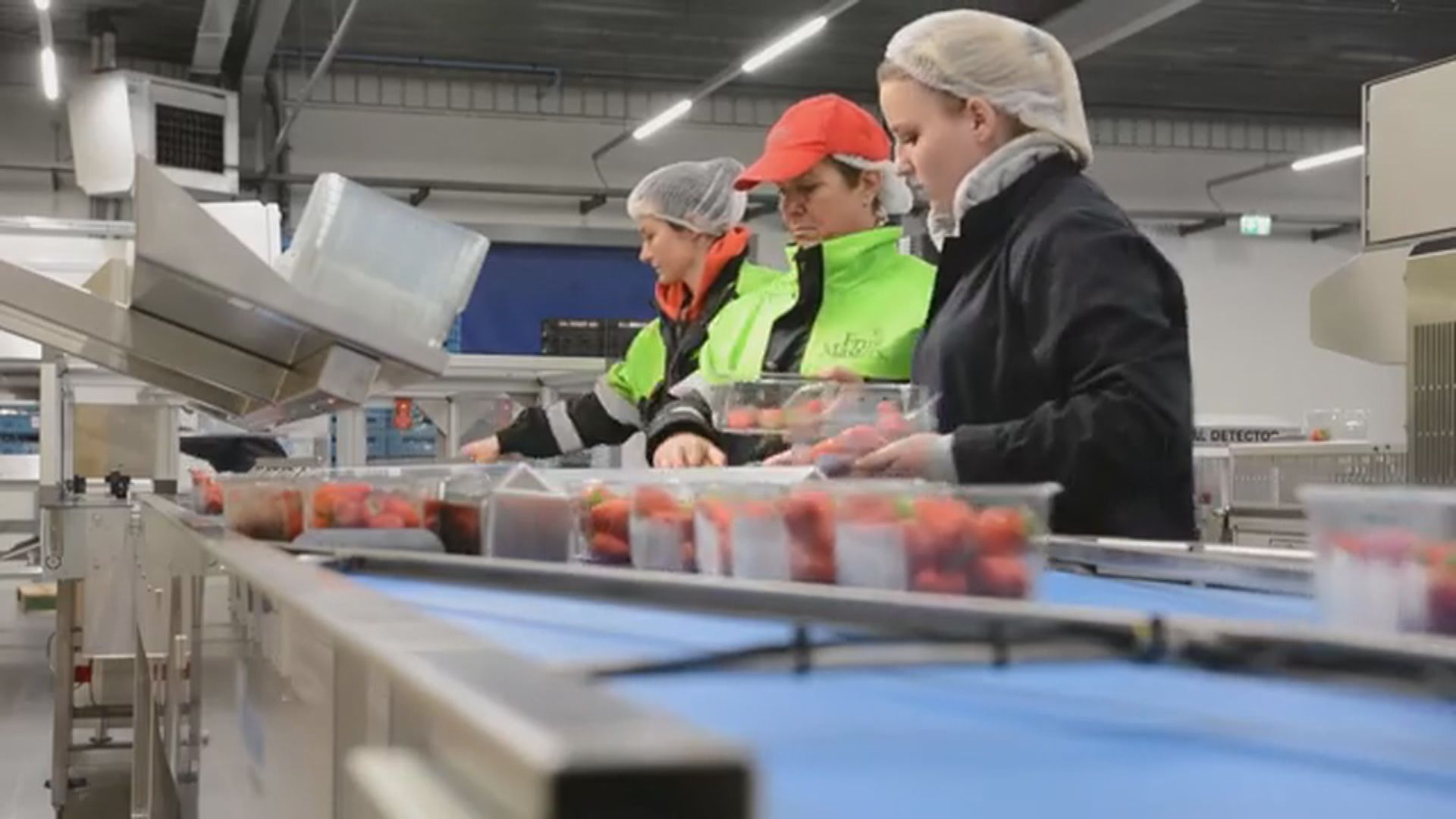 美國多間知名品牌工廠據報涉嫌僱用難民童工