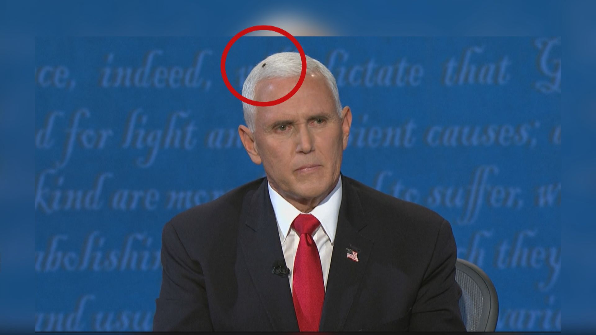 停彭斯頭上蒼蠅成網民討論熱點