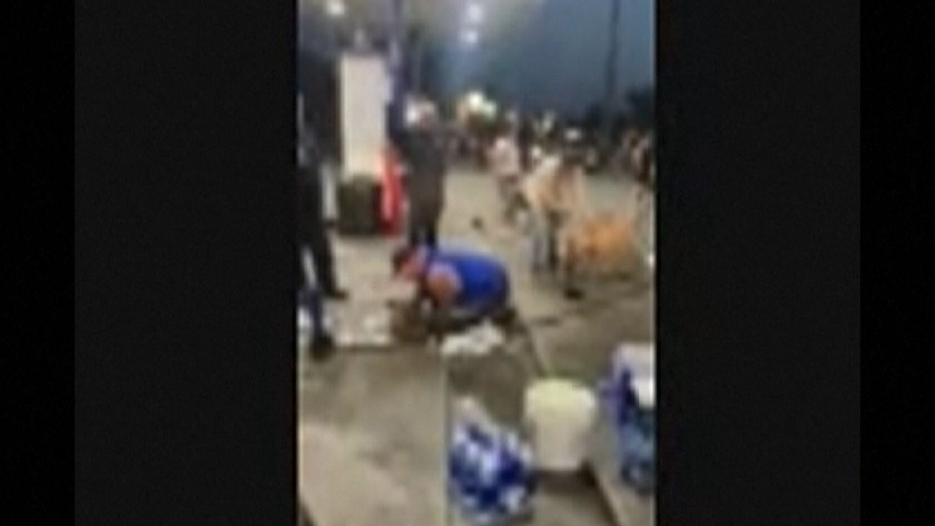 美國印第安納州最少八隻狗運送途中中暑死亡