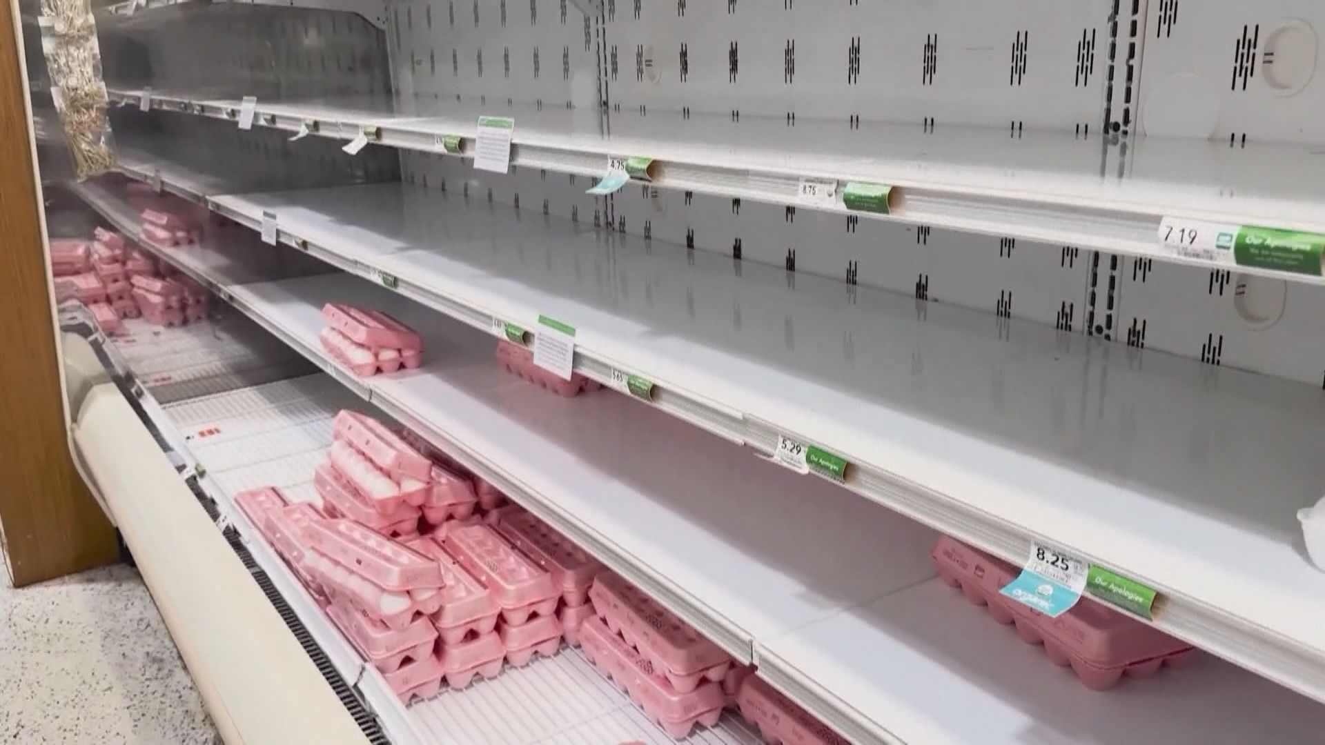 美國加碼10億美元應對禽流感　遏抑蛋價為目標之一 　當局預計蛋價或漲四成