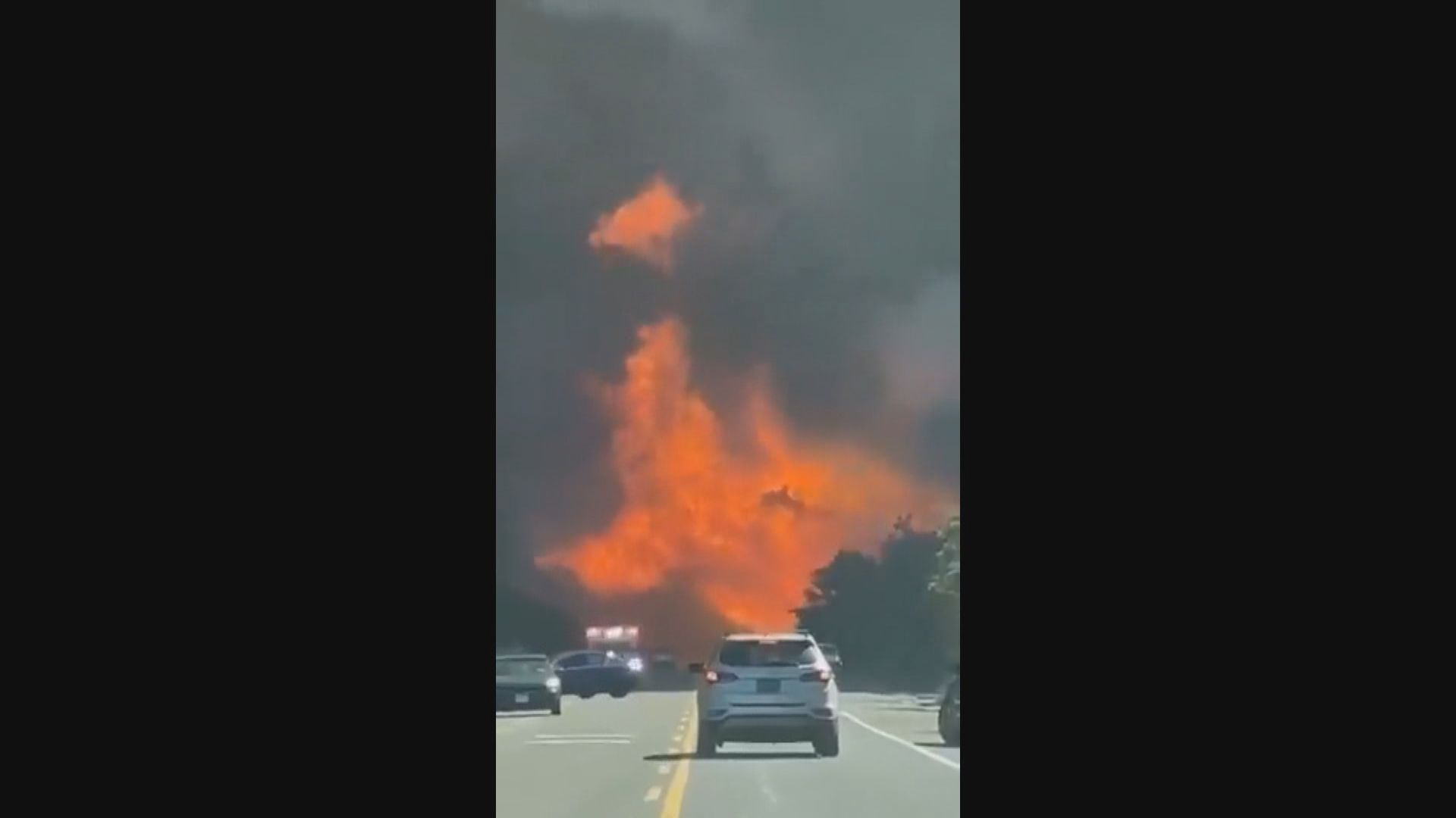 美國紐約州長島山火　州政府宣布進入緊急狀態