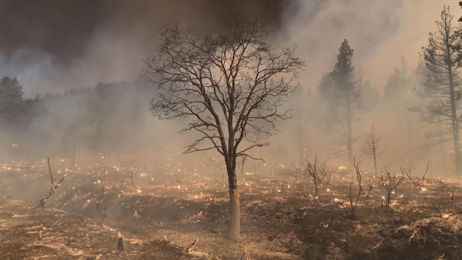 新一輪熱浪侵襲美國西部　加州山火持續
