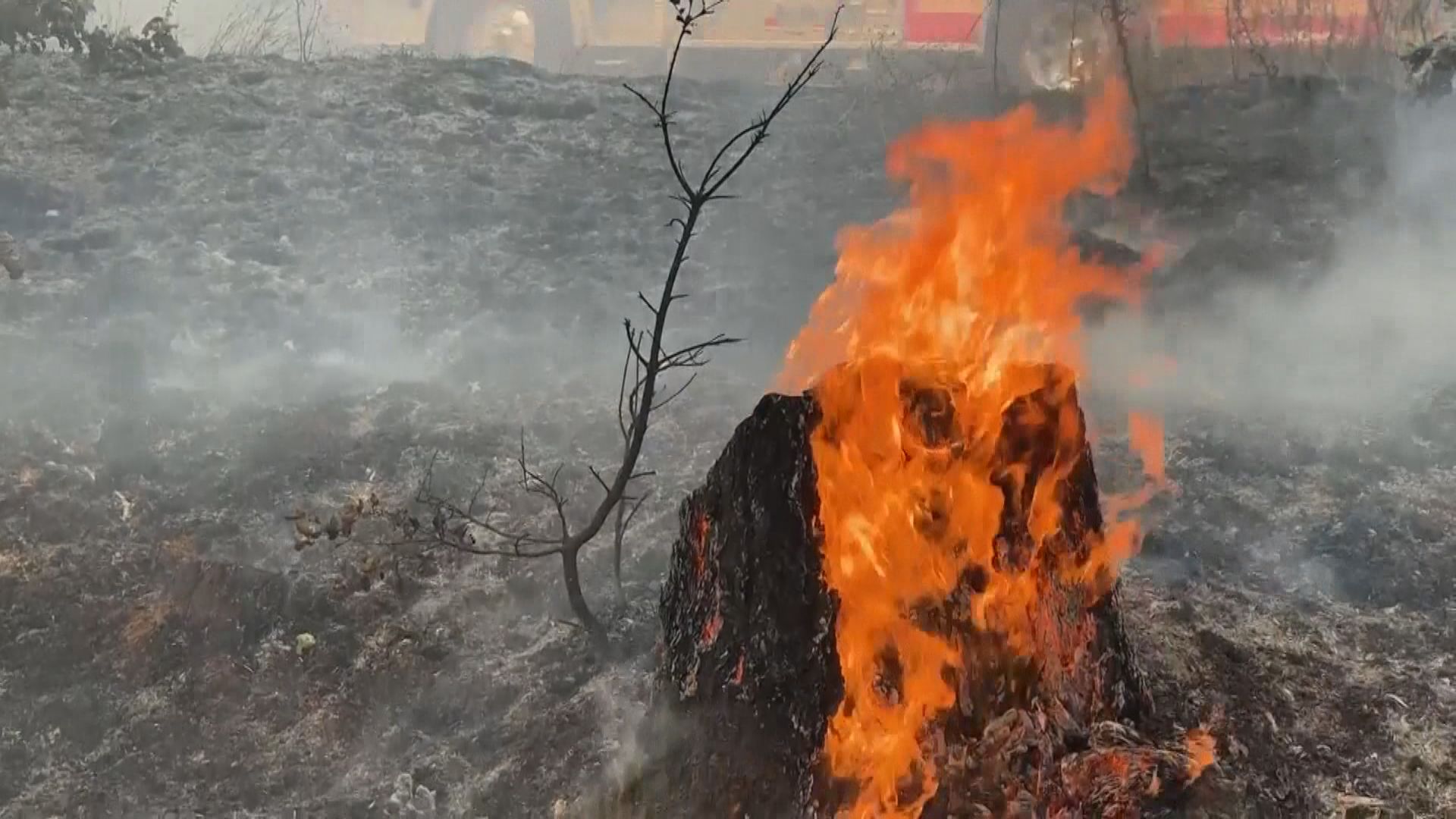 加州優勝美地國家公園山火持續無受控跡象