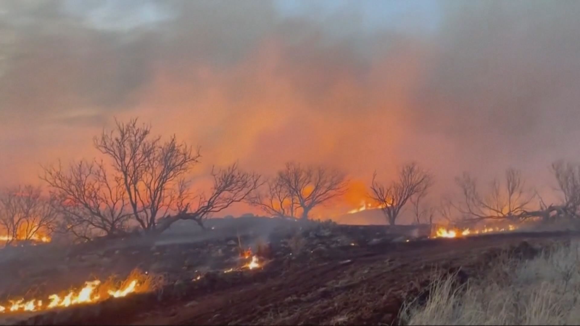 美國得州北部山火失控 最少造成一死
