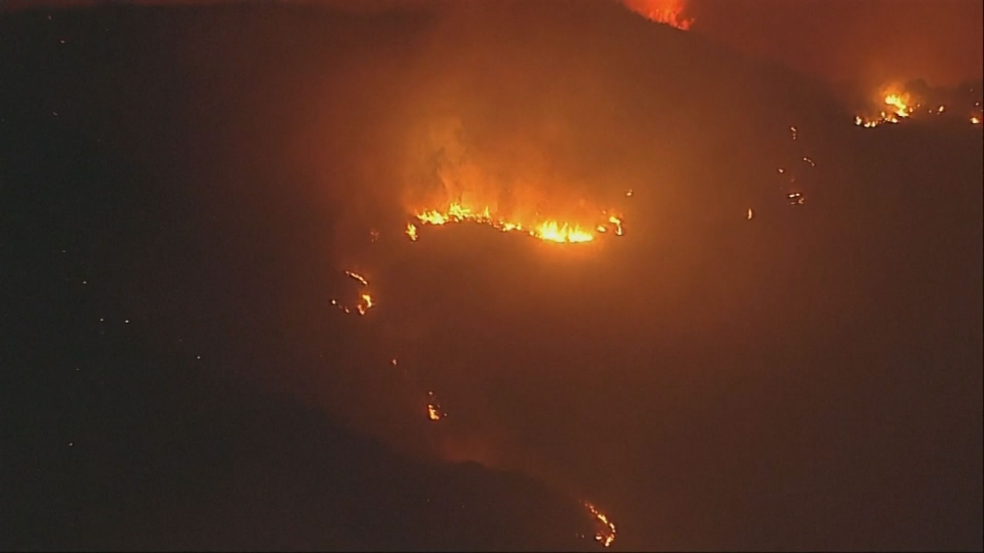 美國加州南部山火迅速蔓延　波及大學校區及荷里活影星住所