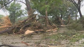 美國得州暴雨成災24死　多名參加夏令營女童被洪水捲走