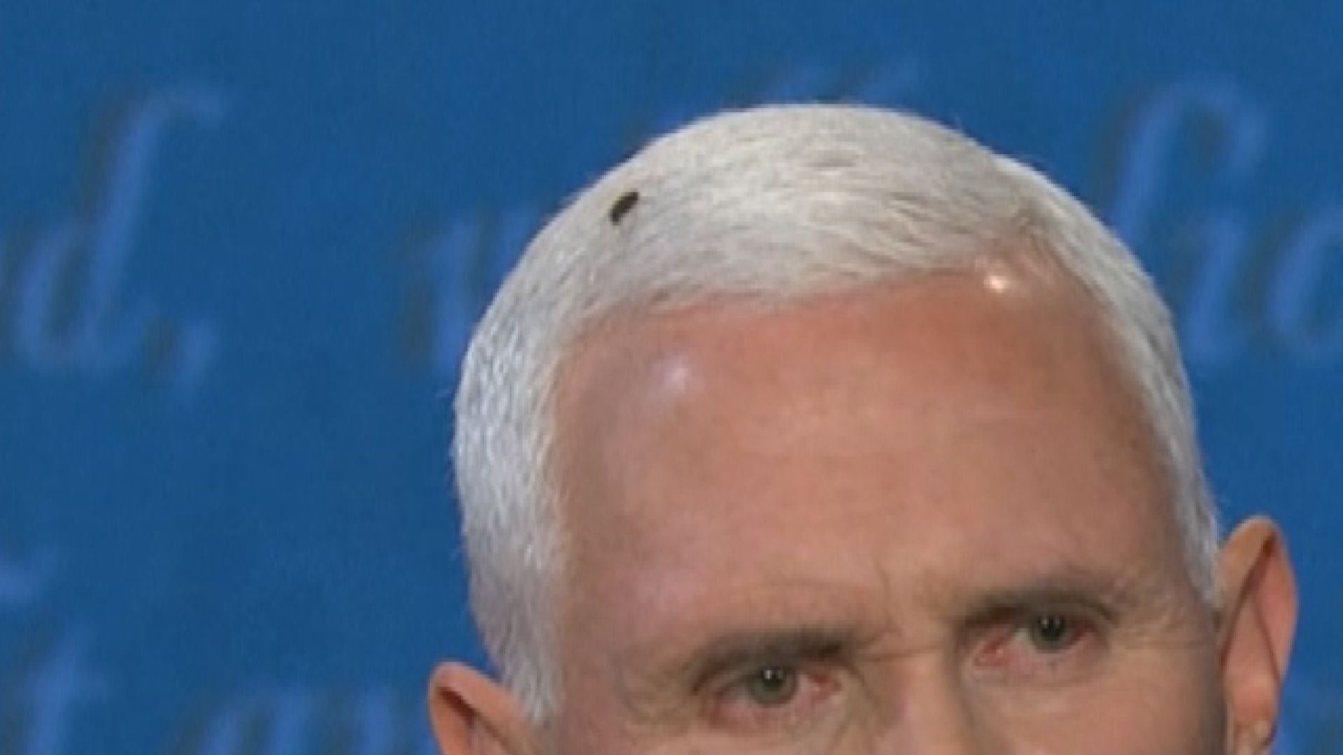 美國副總統候選人辯論遭蒼蠅搶盡風頭