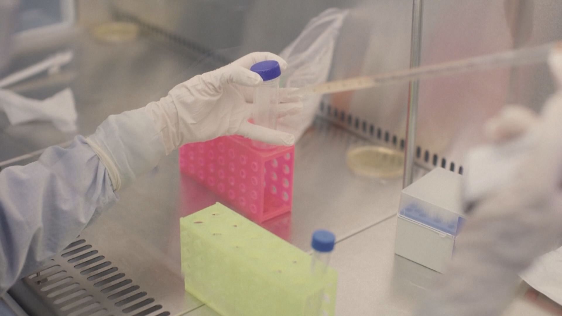 美國首次批准以基因編輯療法治療鐮狀細胞病患者