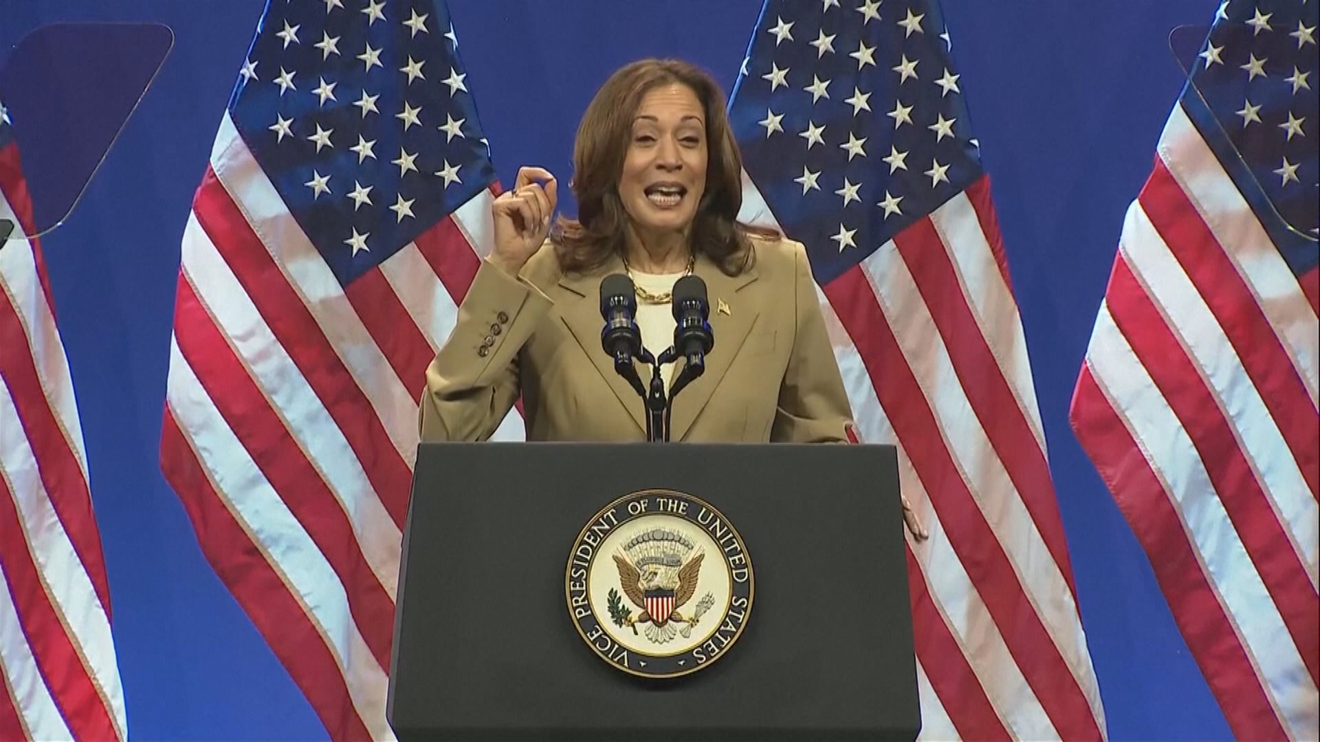 據報賀錦麗已有競選拍檔名單　下月7日前公布副手人選