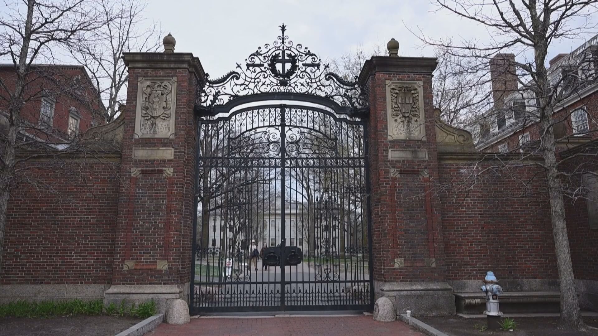 特朗普：取消免稅資格是哈佛大學「應得」