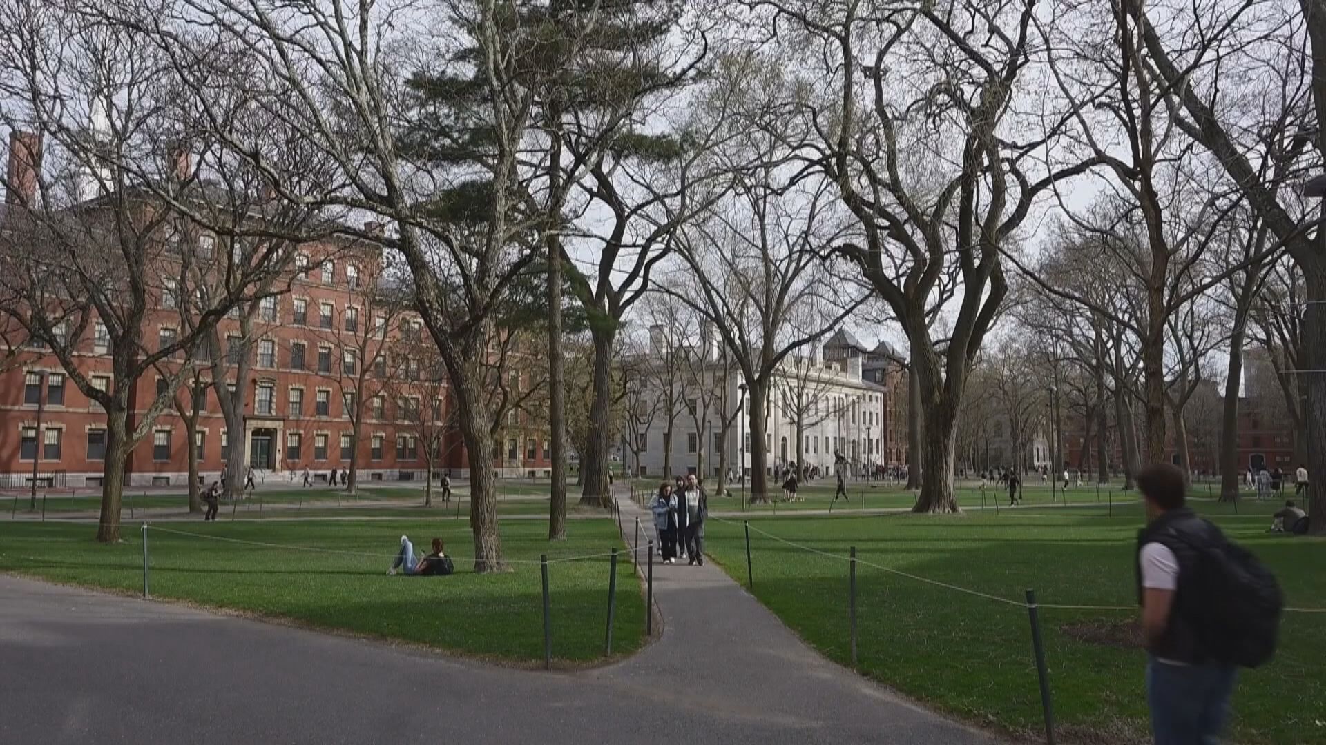 哈佛大學被禁招收國際學生　下學年新生將無法赴美入學