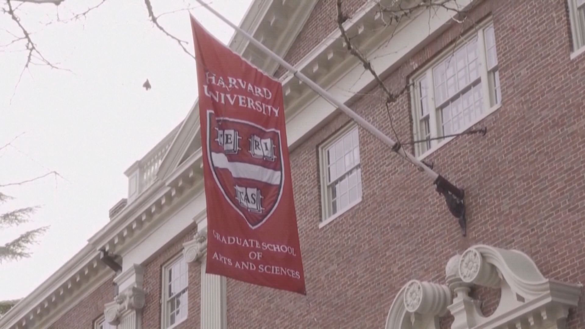 據報美國國務院已通知全球使領館　恢復處理哈佛大學國際學生簽證