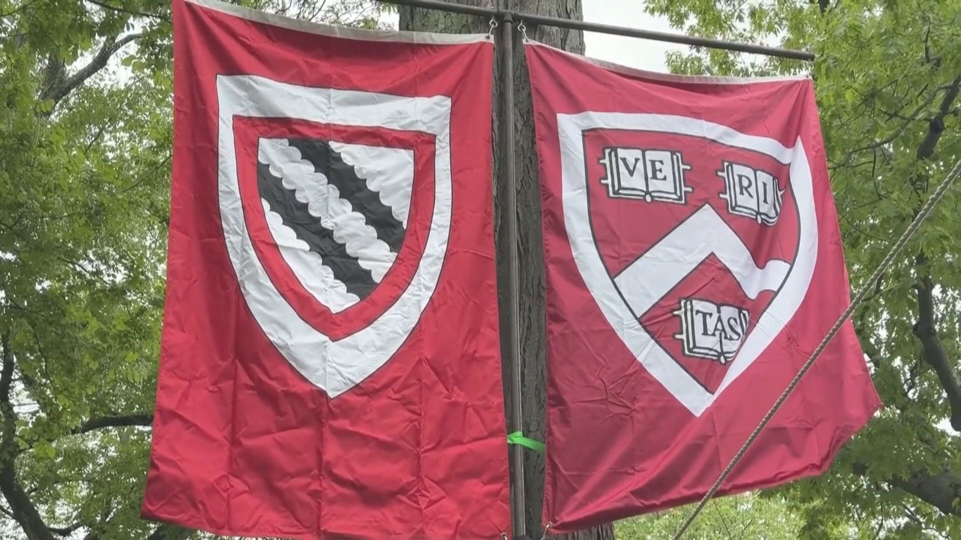 美國再對哈佛大學發起訴訟　要求提供招生相關文件