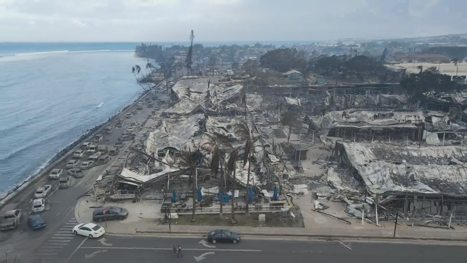 夏威夷州政府檢視為何沒響警報提醒民眾逃避山火