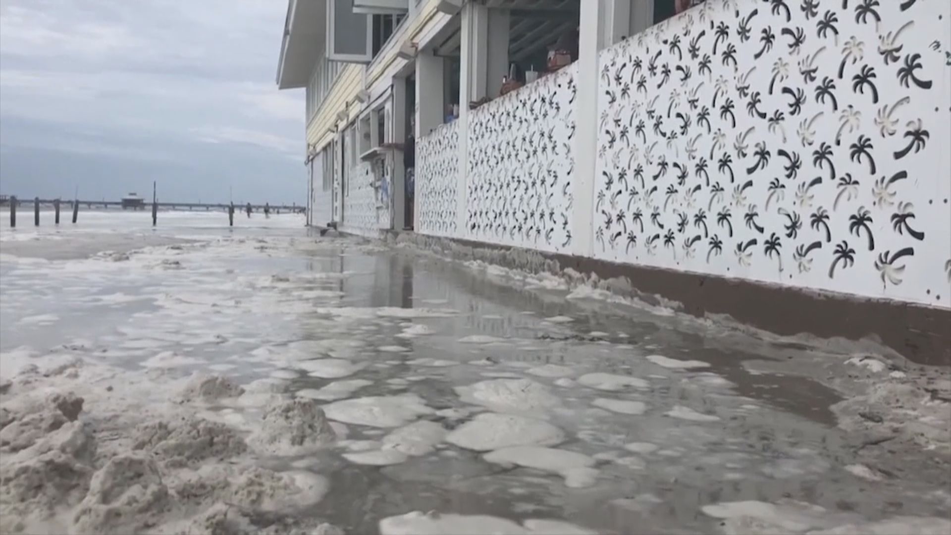 颶風邁克爾吹襲佛州　逾二百萬人撤離