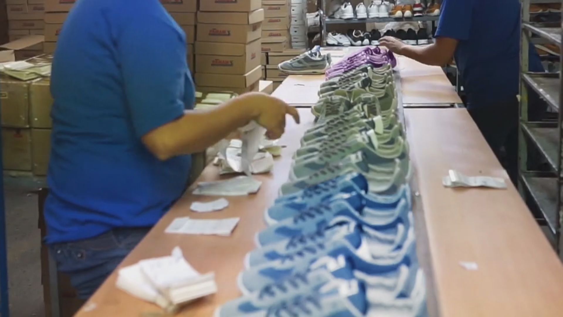 大型品牌用袋鼠皮製球鞋　組織籲停用