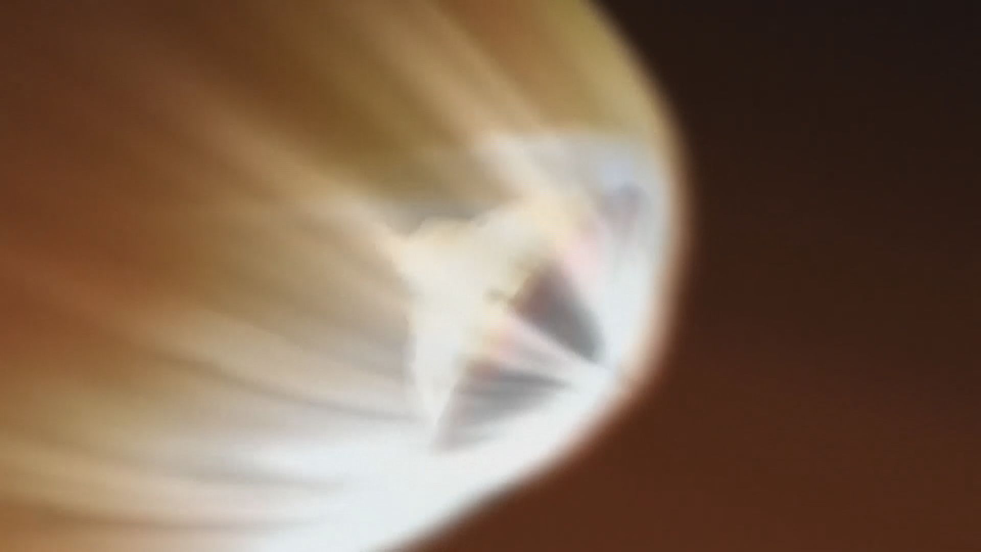 美國探測器毅力號登陸火星　將以直升機拍攝火星表面