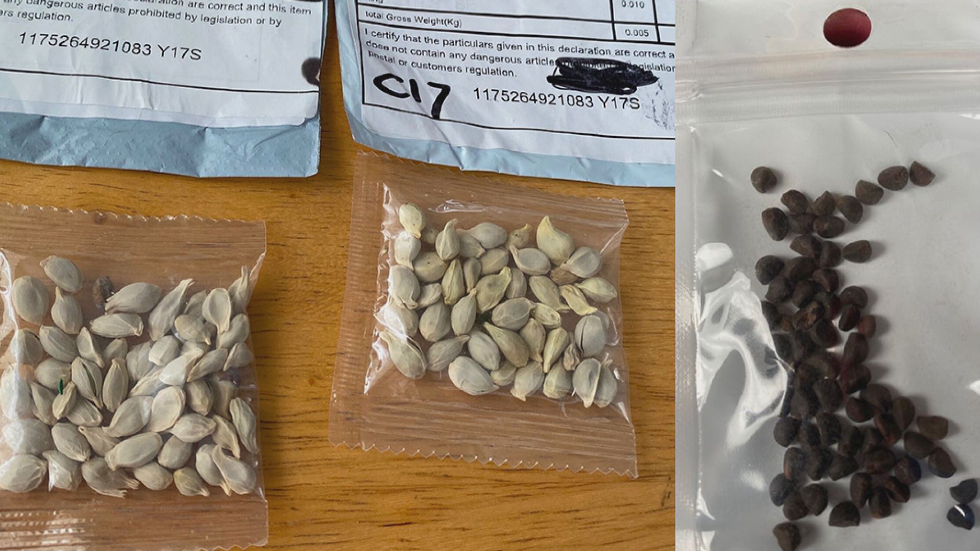 美國多州收到不明來歷種子郵包　農業部指疑是「刷單騙局」